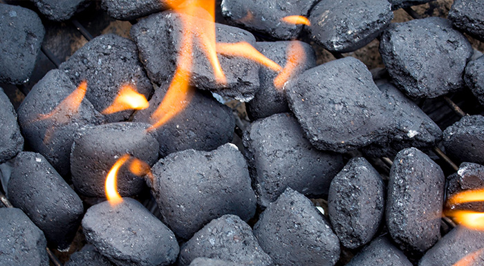 Buy Coconut shell charcoal