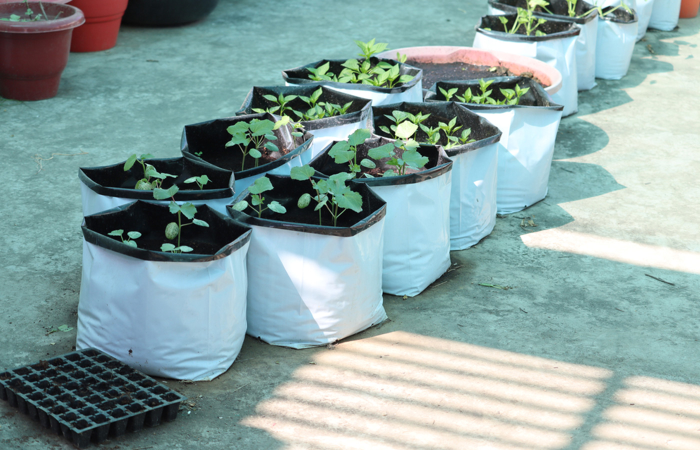 Source LDPE Gardening Planter Poly Black White Grow Bags Plastic Planting  Seeding Nursery Bags for Plants Blueberry Potato on malibabacom