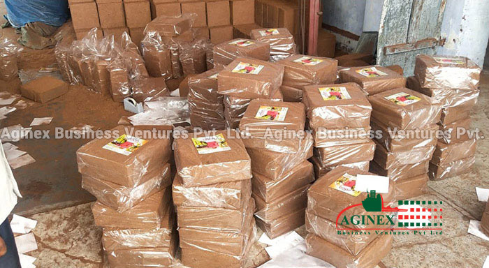 Buy Coco peat for Plants
